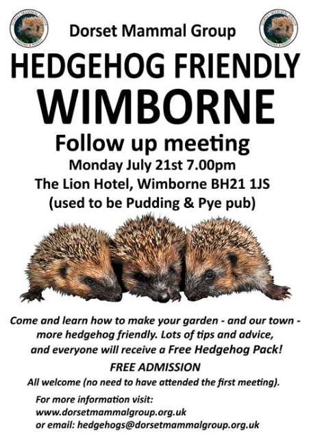 Hedgehog Friendly Town Meeting