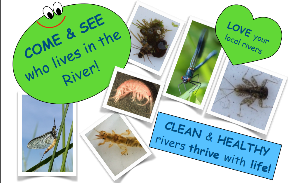 River creatures