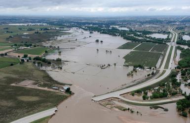 Flooded fields