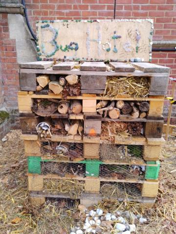 St John's Bug hotel