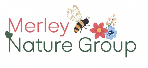 Merley Nature Group
