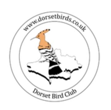 Dorset Bird Club